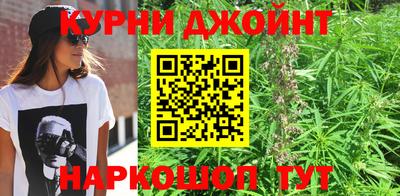 стафф Бийск