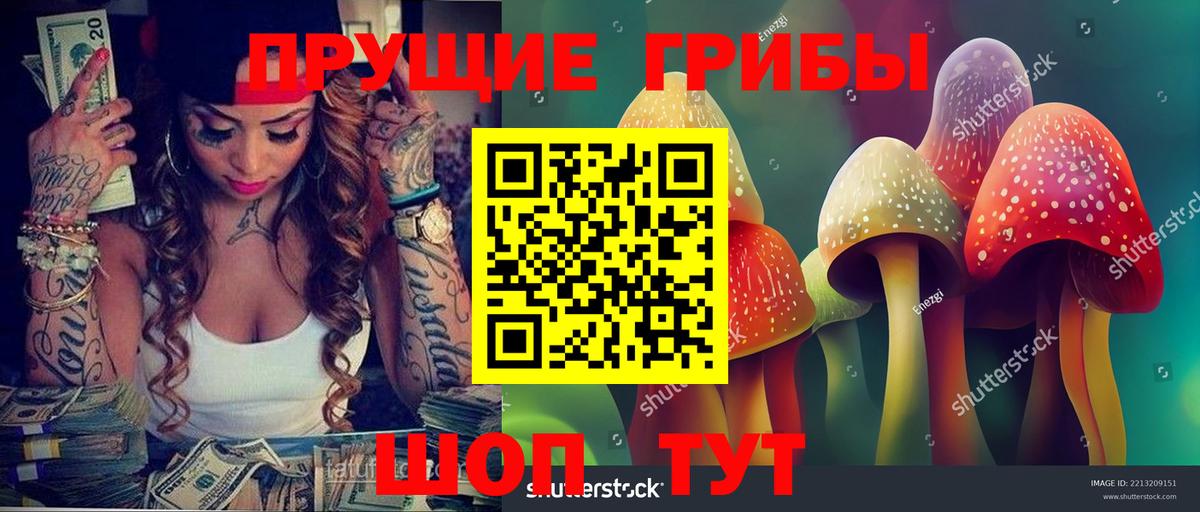 Псилоцибиновые грибы MAGIC MUSHROOMS  Вход с VPN  Камень-на-Оби  Псилоцибиновые грибы MAGIC MUSHROOMS 
